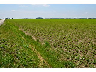 Property photo 15 - LAND AUCTION - 700+/- ACRES OFFERED IN 16 TRACTS IN ALLEN COUNTY, INDIANA